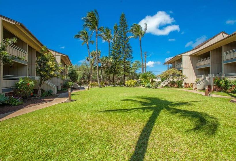 Kihei Bay Vista #d202