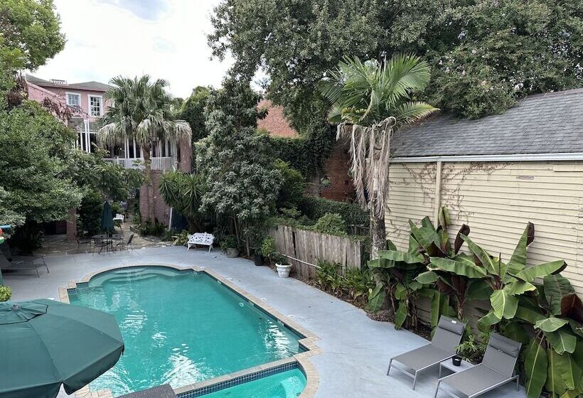Lamothe House Hotel A French Quarter Guest Houses Property
