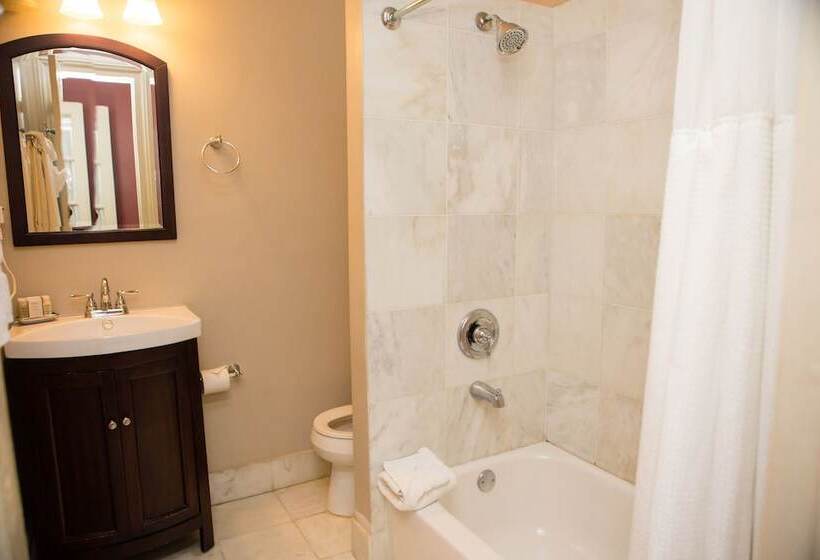 Lamothe House Hotel A French Quarter Guest Houses Property