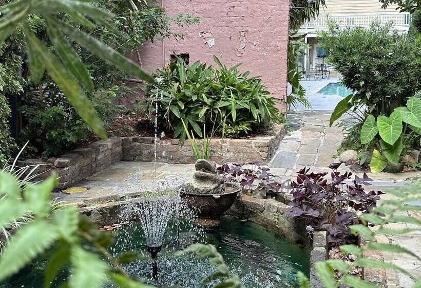 Lamothe House Hotel A French Quarter Guest Houses Property