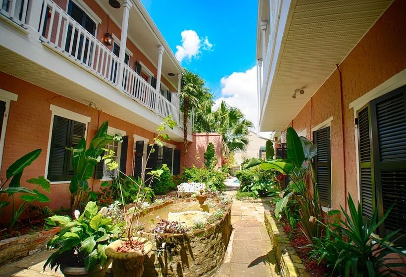 Lamothe House Hotel A French Quarter Guest Houses Property