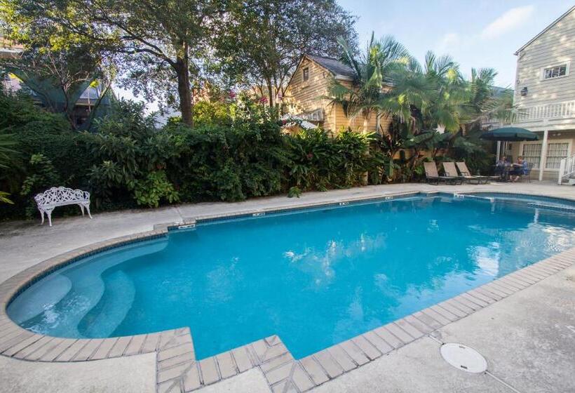 Lamothe House Hotel A French Quarter Guest Houses Property