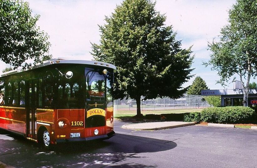 Majestic Regency Resort