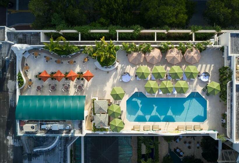 Mayfair House Hotel & Garden