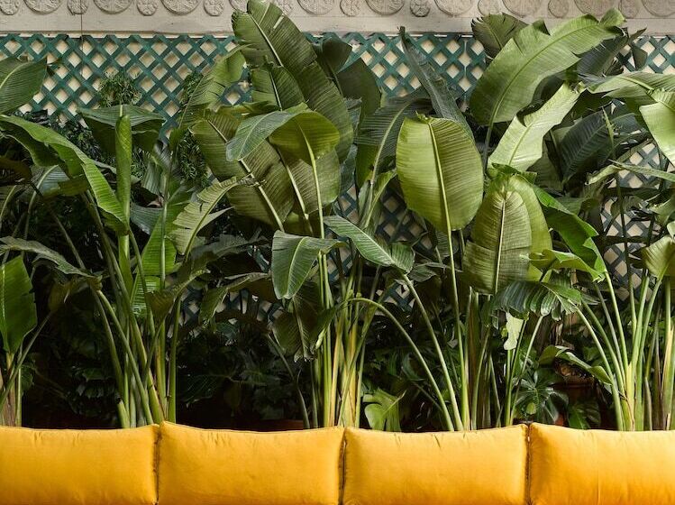 Mayfair House Hotel & Garden