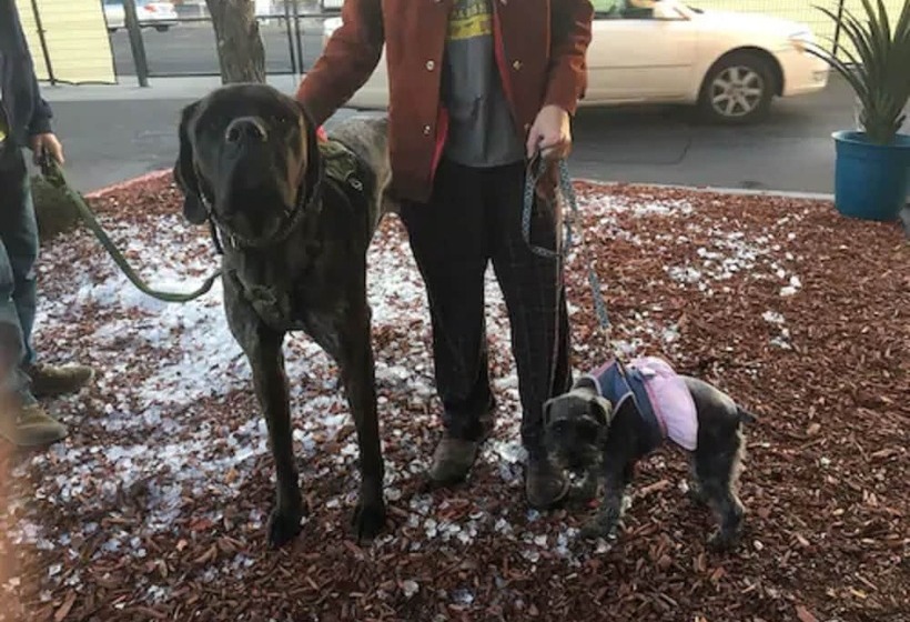 فندق San Mateo Inn