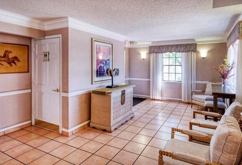 فندق San Mateo Inn