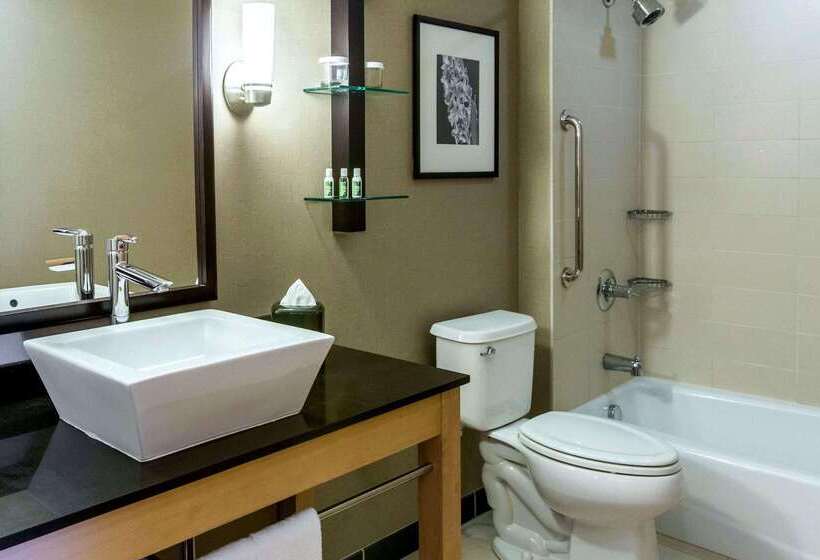 مُتل Cambria Hotel Rapid City Near Mount Rushmore