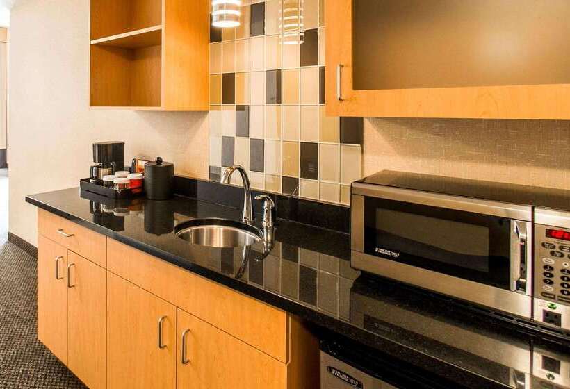 모텔 Cambria Hotel Rapid City Near Mount Rushmore