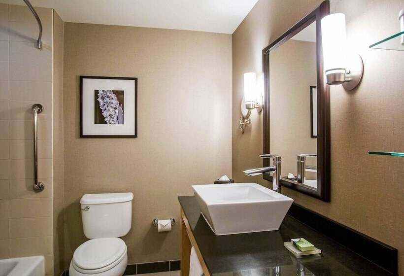 모텔 Cambria Hotel Rapid City Near Mount Rushmore