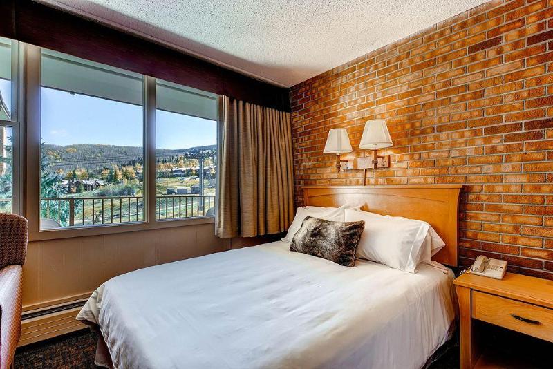 Mountain Chalet Snowmass