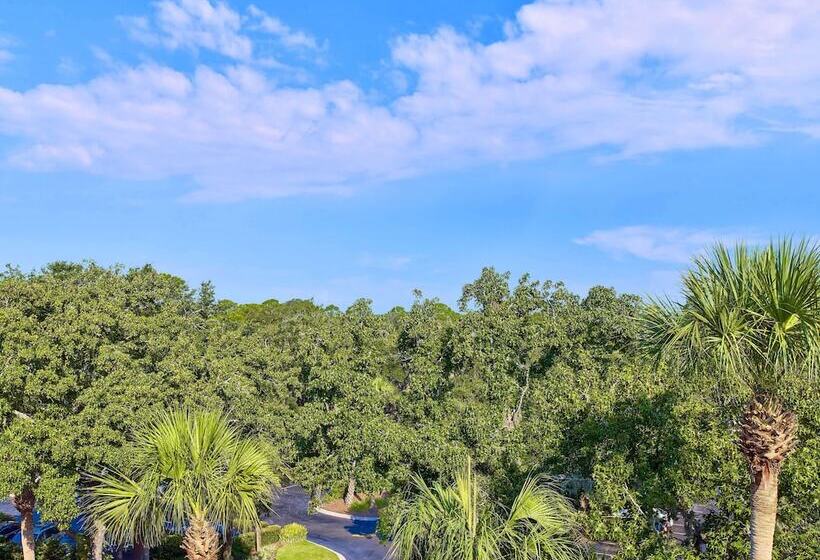 Sonesta Resort  Hilton Head Island