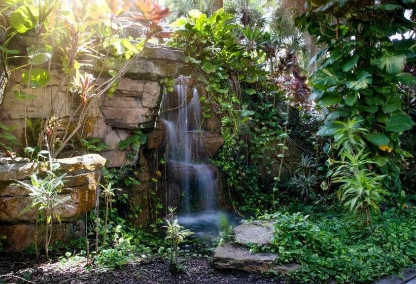 Курорт Delta Hotels By Marriott Orlando Celebration