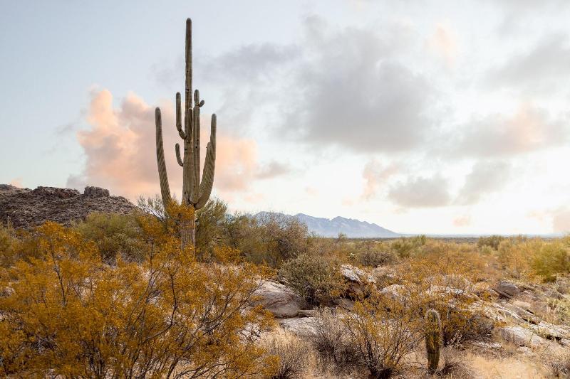 هتل Aloft Tucson University