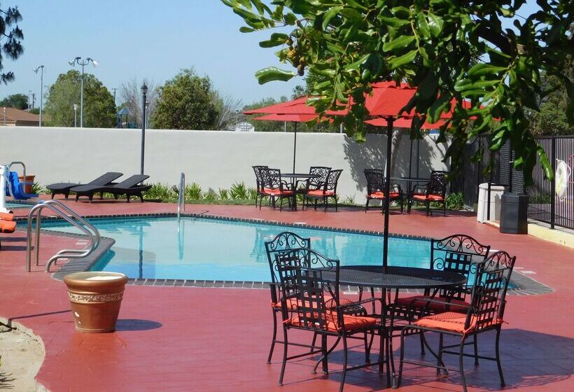 فندق Best Western Plus Anaheim Orange County