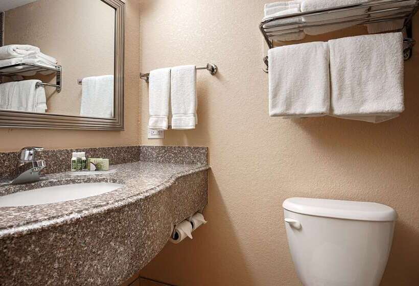 فندق Best Western Plus Parkway