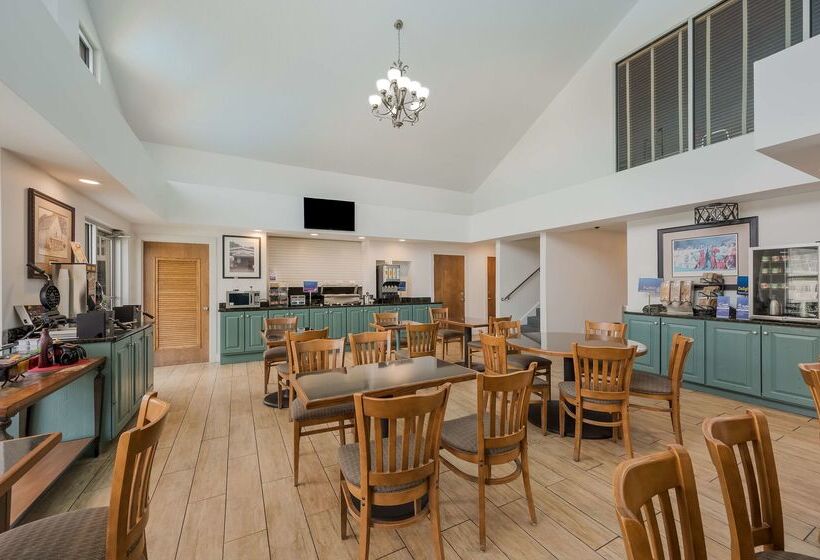 酒店 Best Western University Inn