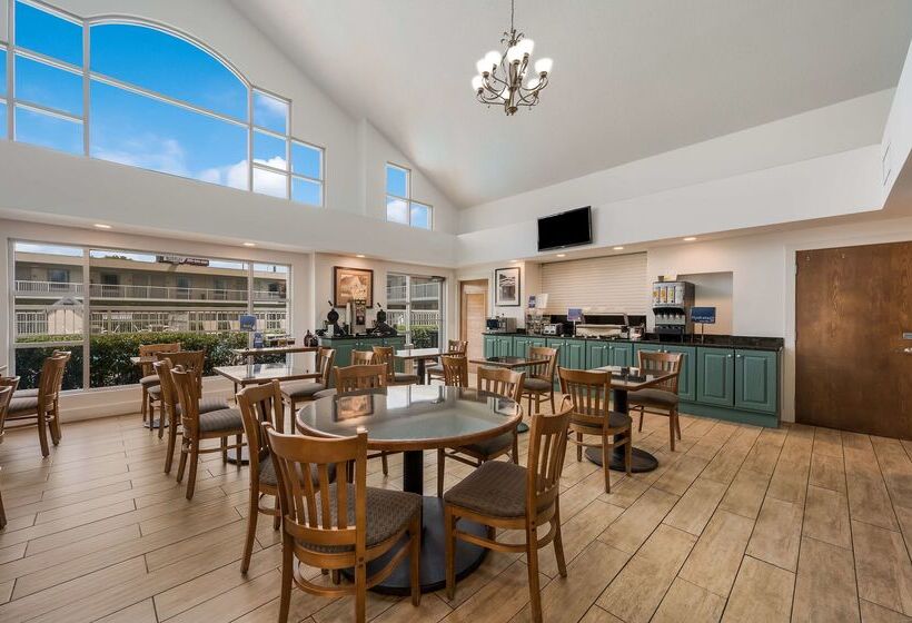 酒店 Best Western University Inn