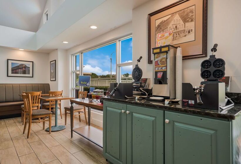 酒店 Best Western University Inn