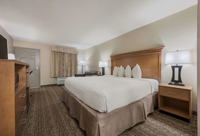 酒店 Best Western University Inn