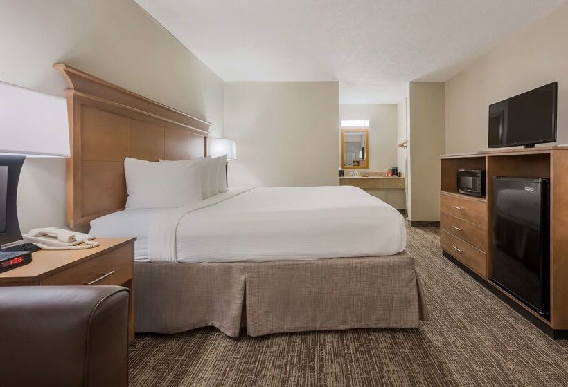 酒店 Best Western University Inn