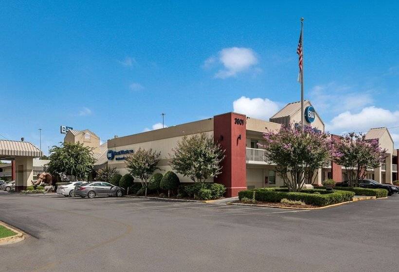 酒店 Best Western University Inn