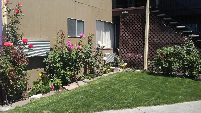 فندق Cedars Inn Lewiston