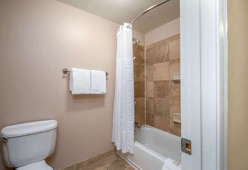 Clarion Collection Hotel Arlington Court Suites