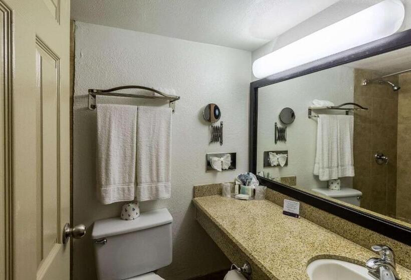 فندق Clarion Inn Near Mcallen Airport