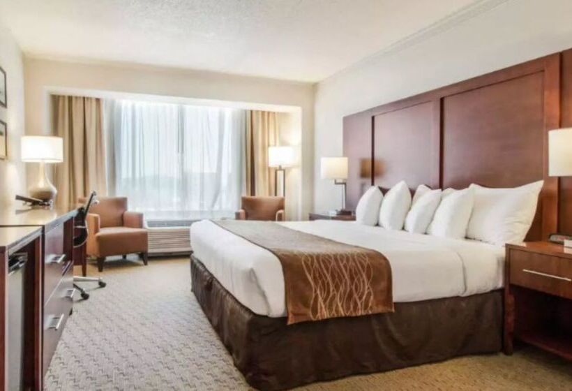 בית מלון כפרי Comfort Inn By The Bay