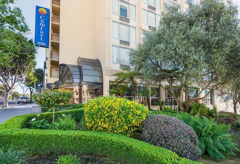 בית מלון כפרי Comfort Inn By The Bay