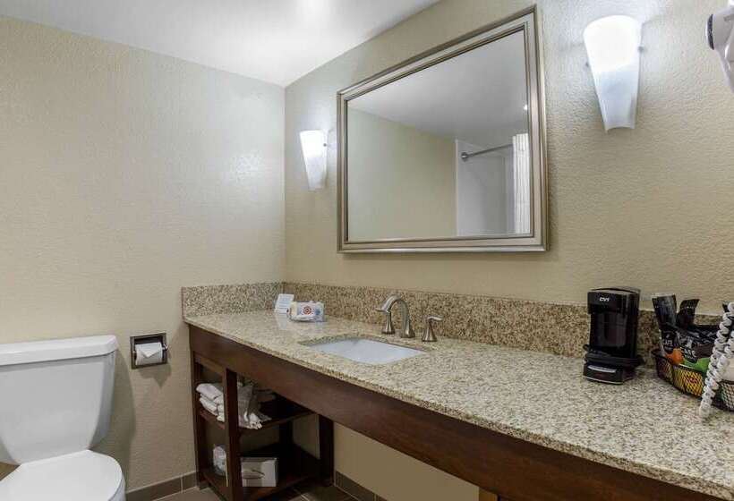 酒店 Comfort Inn Conference Center