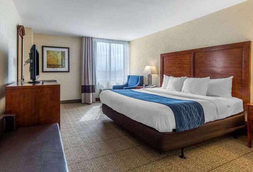 酒店 Comfort Inn Conference Center