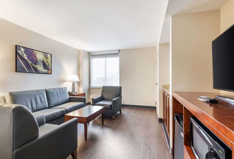 酒店 Comfort Inn Conference Center