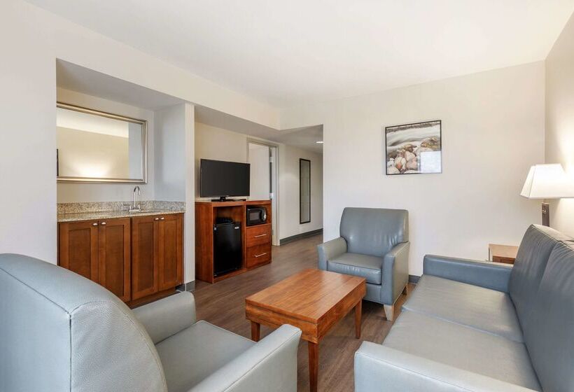 酒店 Comfort Inn Conference Center