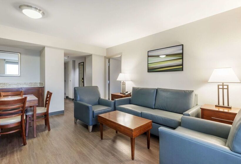 酒店 Comfort Inn Conference Center