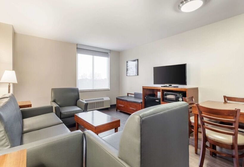 酒店 Comfort Inn Conference Center