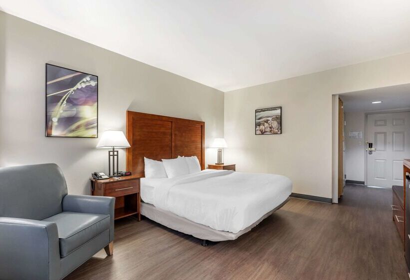 酒店 Comfort Inn Conference Center