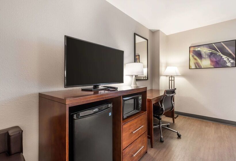 酒店 Comfort Inn Conference Center