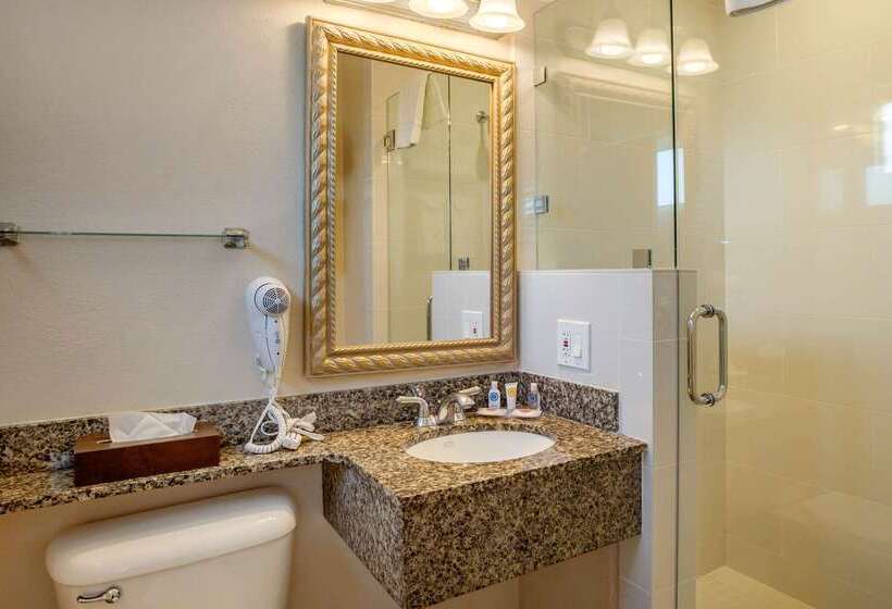 هتل Comfort Inn San Diego Airport At The Harbor