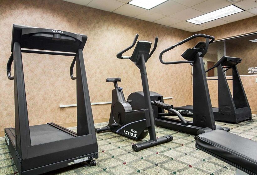 فندق Comfort Inn & Suites