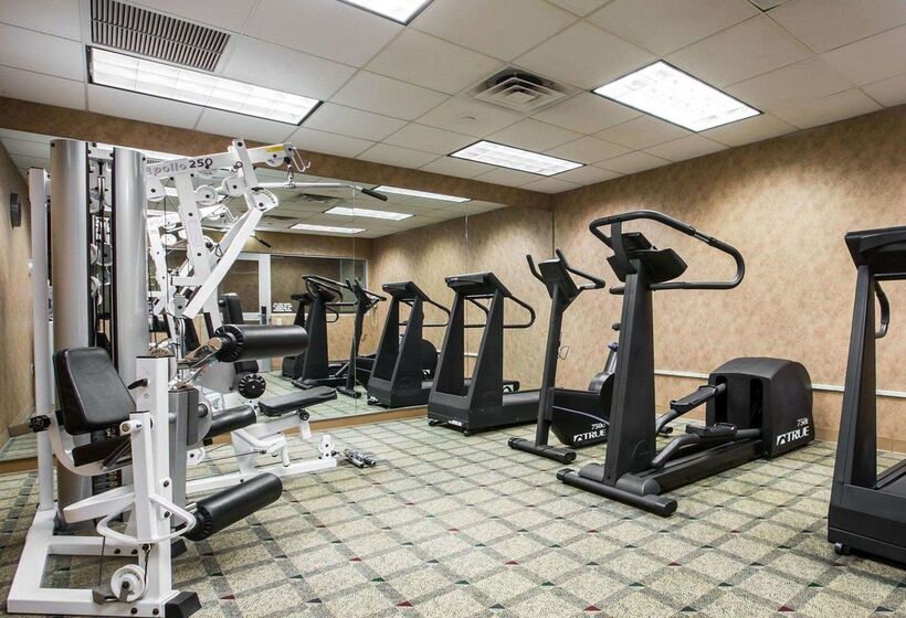 فندق Comfort Inn & Suites