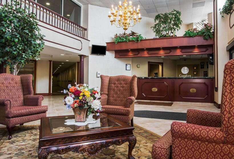 فندق Comfort Inn & Suites