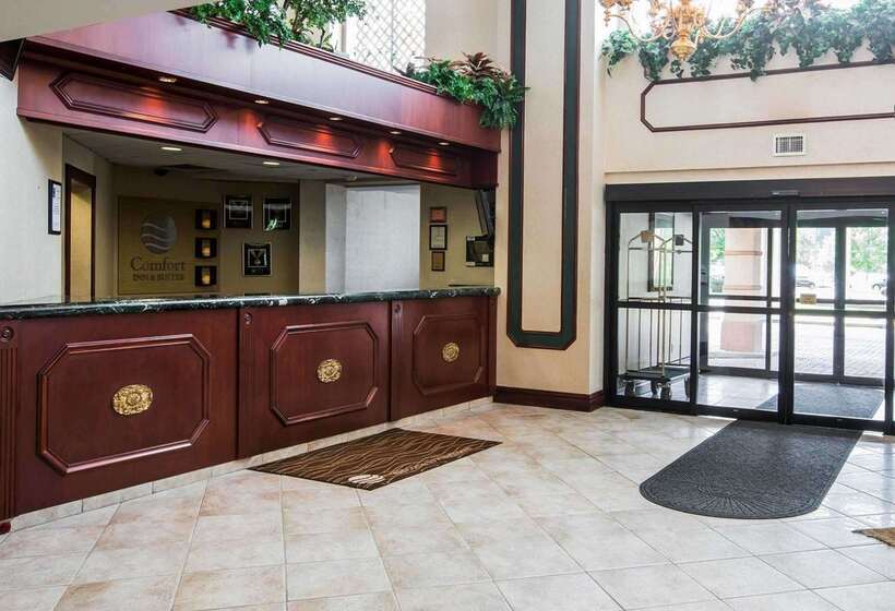 فندق Comfort Inn & Suites