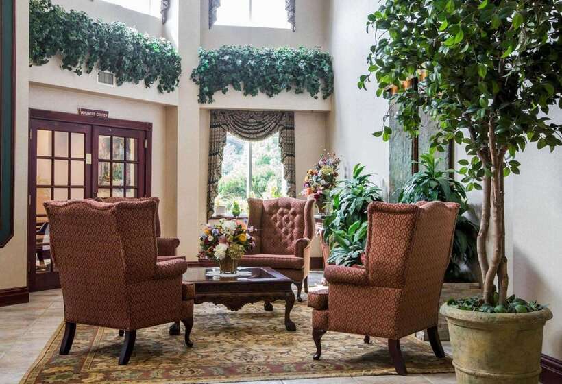 فندق Comfort Inn & Suites