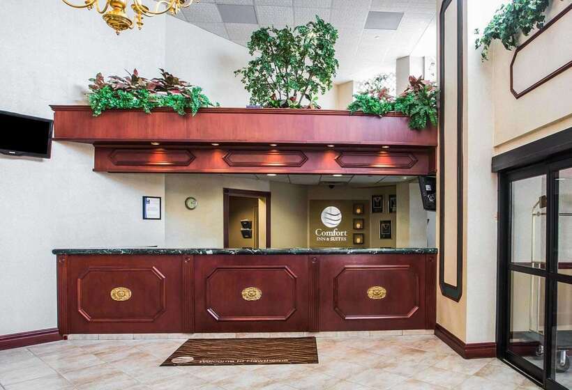 فندق Comfort Inn & Suites