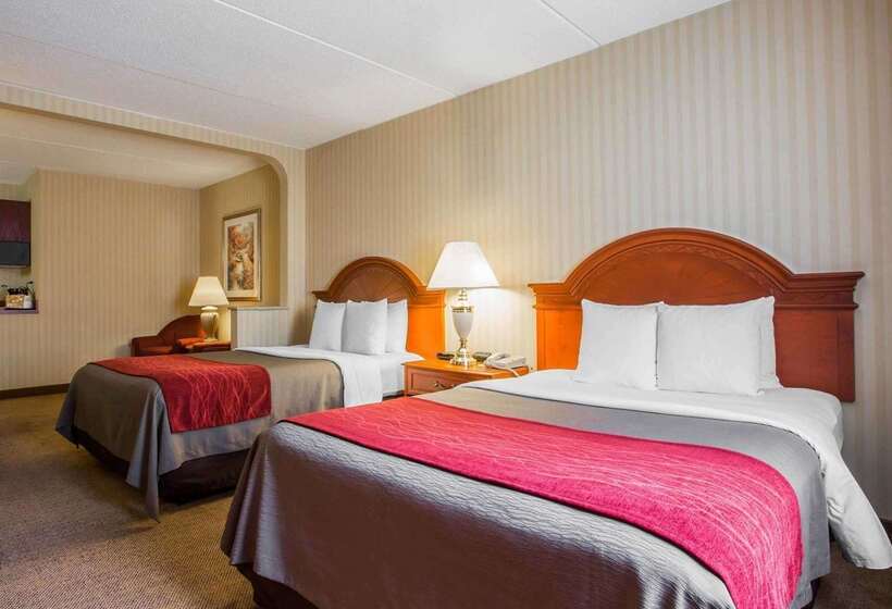 فندق Comfort Inn & Suites