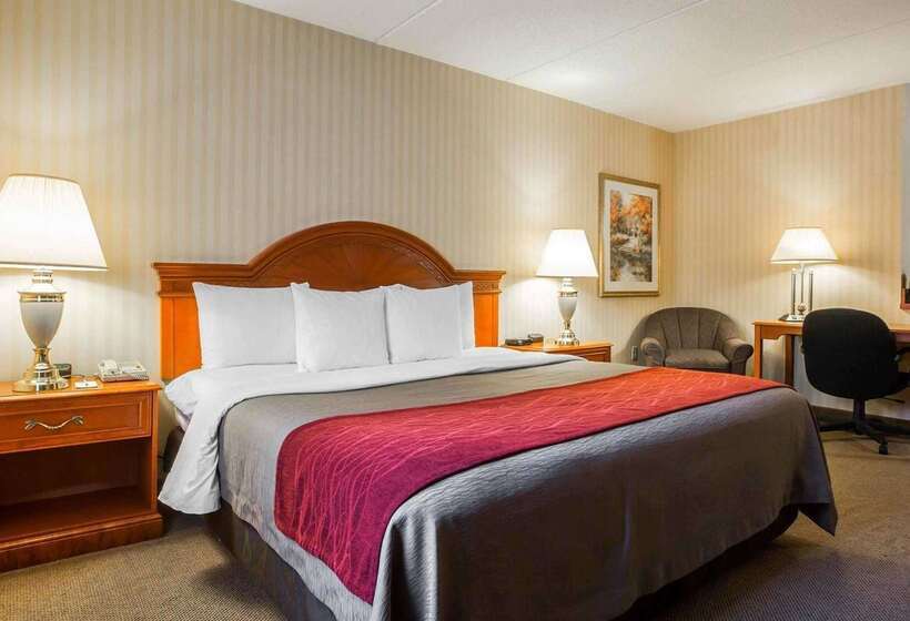 فندق Comfort Inn & Suites