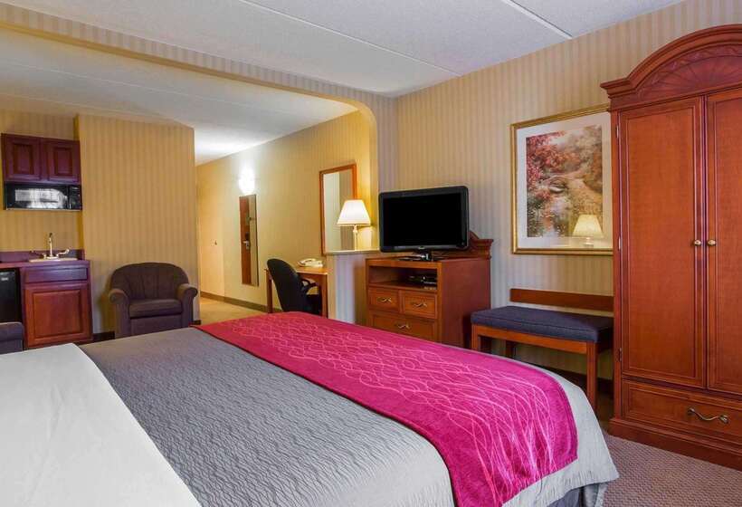 فندق Comfort Inn & Suites