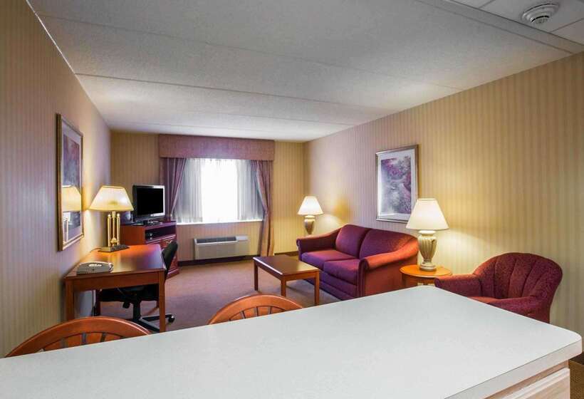 فندق Comfort Inn & Suites